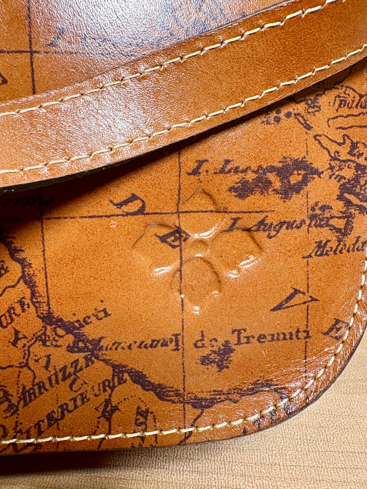 Patricia Nash Beaumont Flap Crossbody Signature Map Collection